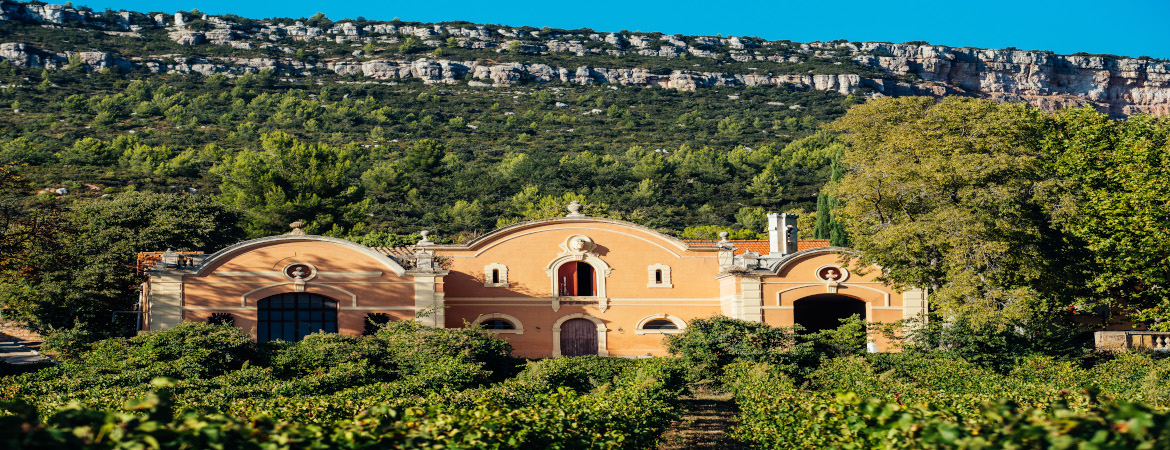 Our winemaking properties